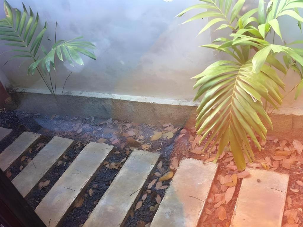 Secret Garden Trang Resort Exterior foto